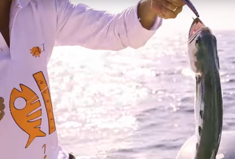 Fishing Trip Abu Dhabi