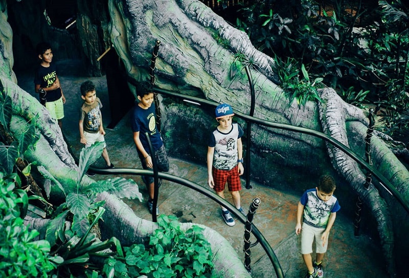 The Green Planet – Rainforest in Dubai 1